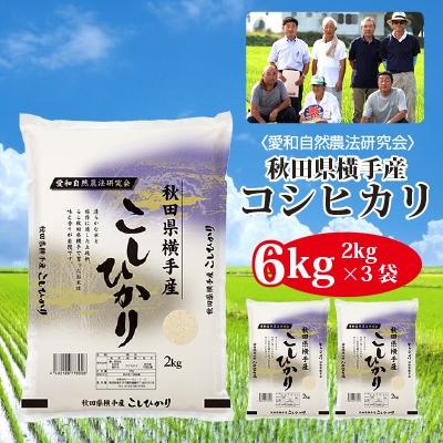 ふるさと納税 横手市 【令和7年産】〈愛和自然農法研究会〉横手産コシヒカリ6kg(2kg×3袋)