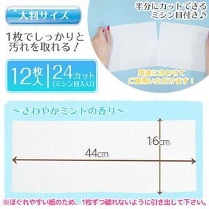 GN超厚流せるトイレクリーナー大判(12枚×2パック)×20袋