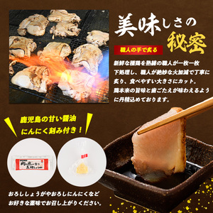鳥刺し 鶏刺し 鹿児島の郷土料理 鶏のたたき 180g×4P てぞの精肉店 IB076-002