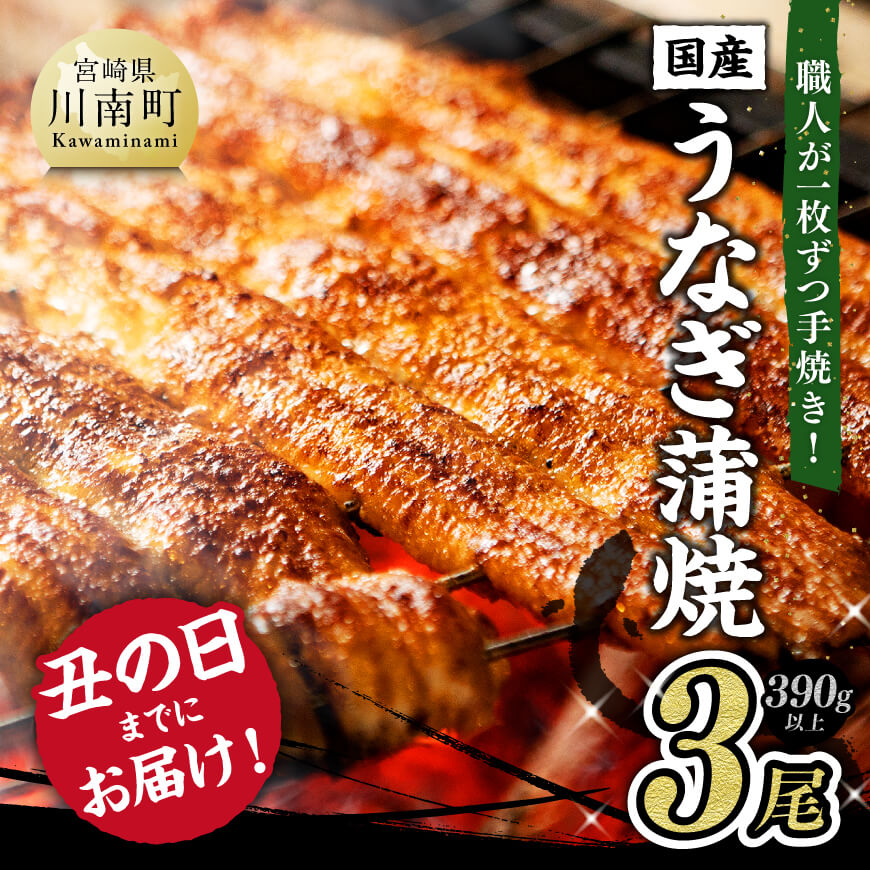 【ふるさと納税】 【丑の日までにお届け！】 ひむか 山道うなぎ 蒲焼3尾分 (390g以上) - 国産 ウナギ 鰻 宮崎県産 川南町産 九州産 ふるさと納税 ウナギ おかず 惣菜 冷凍 送料無料 C08402