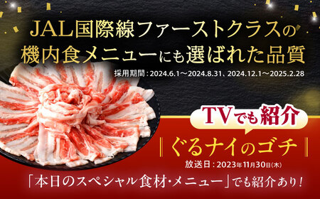 諫美豚 バラ肉 800g / 豚バラ [AHAD075]
