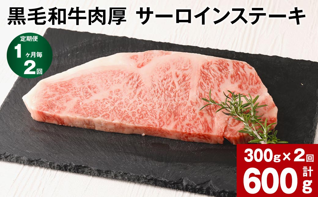 
【1ヶ月毎2回定期便】黒毛和牛肉厚 サーロインステーキ 計約600g （約300g×2回）
