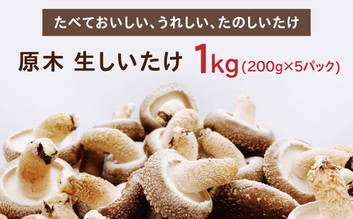 【北海道】原木 生しいたけ 1kg（200g×5パック）《厚真町》【株式会社きたい】 生 しいたけ 椎茸 きのこ キノコ 小分け 北海道 [AXAI001]