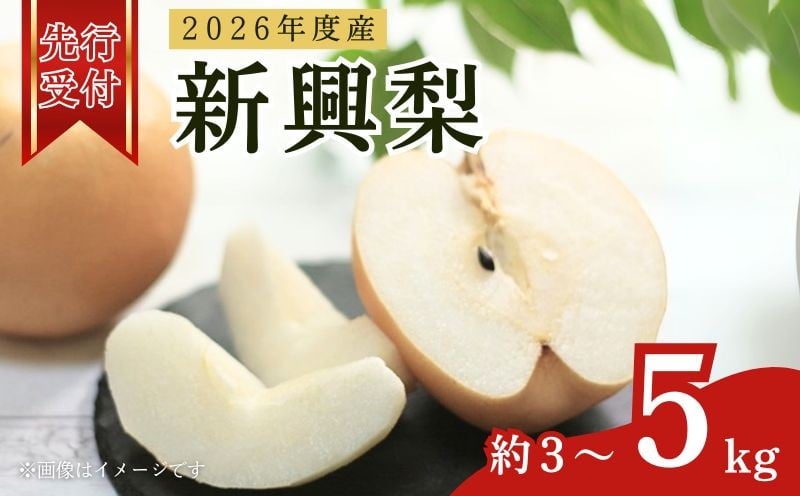 
                  【先行予約】2026年度産 新興梨 約3～5kg（5玉～14玉入り） 京都府産 梨 和梨 なし ナシ フルーツ 旬の果物 くだもの 梨 秋 京都 京丹後産 直送 京都府 JA JA京都
                