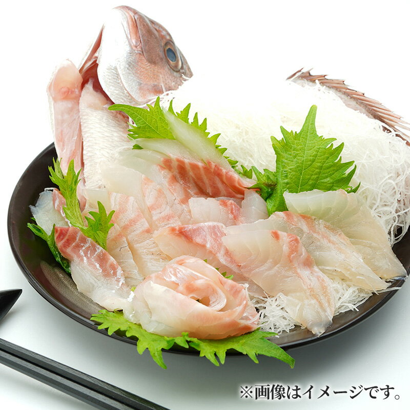 【ふるさと納税】 真鯛 900g～2.5kg 半身 刺身用 1～2尾分 選べる容量 お刺身 刺し身 海鮮 魚介 海鮮 鯛めし 鯛鍋 鯛しゃぶ 高級魚 お取り寄せ 贈り物 産地直送 国産 三重県 南伊勢 伊勢 志摩 7000円 七千円