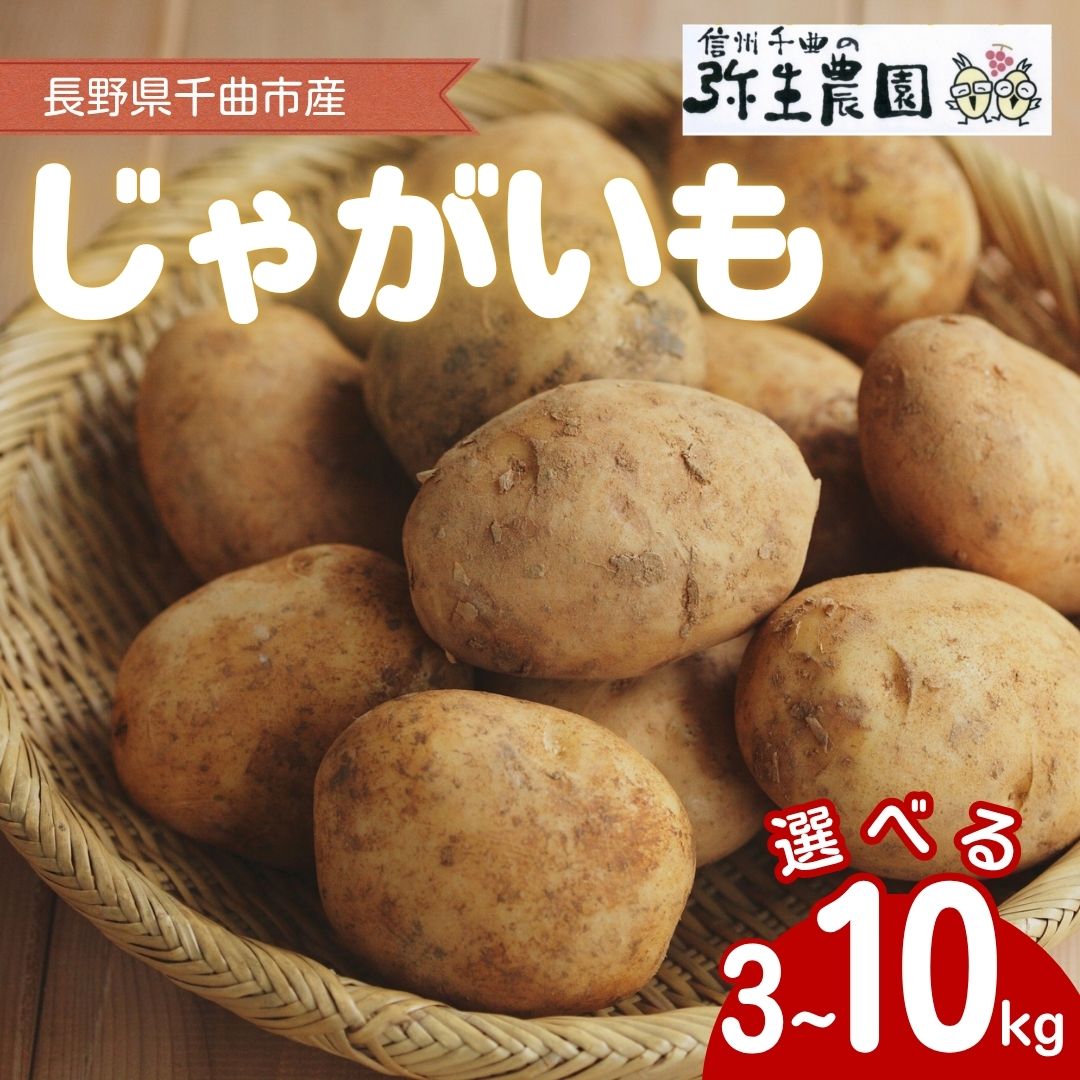 【ふるさと納税】千曲市産 じゃがいも 3kg~10kg | 芋 ジャガイモ 野菜 農家直送 国産 信州 千曲 長野 長野県