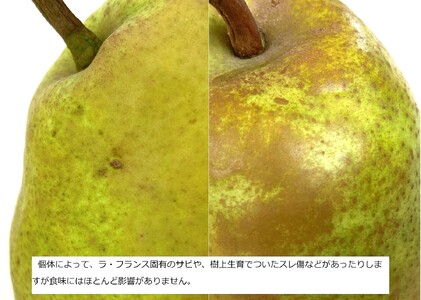 西洋梨（ラ・フランス）３.３ｋｇ　大玉　秀品　0009-2410
