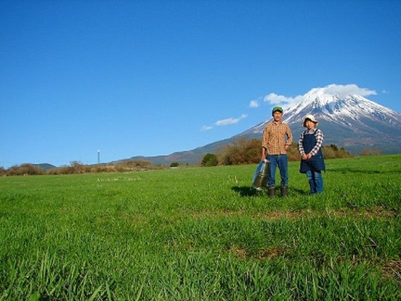 【河口湖チーズ工房】西湖セットストリング（プレーン・ワイン）
