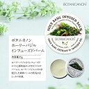 【ふるさと納税】ホーリーバジル　インフューズドバーム | BOTANICANON ボタニカルファクトリー バーム サスティナブルコスメ スキンケア