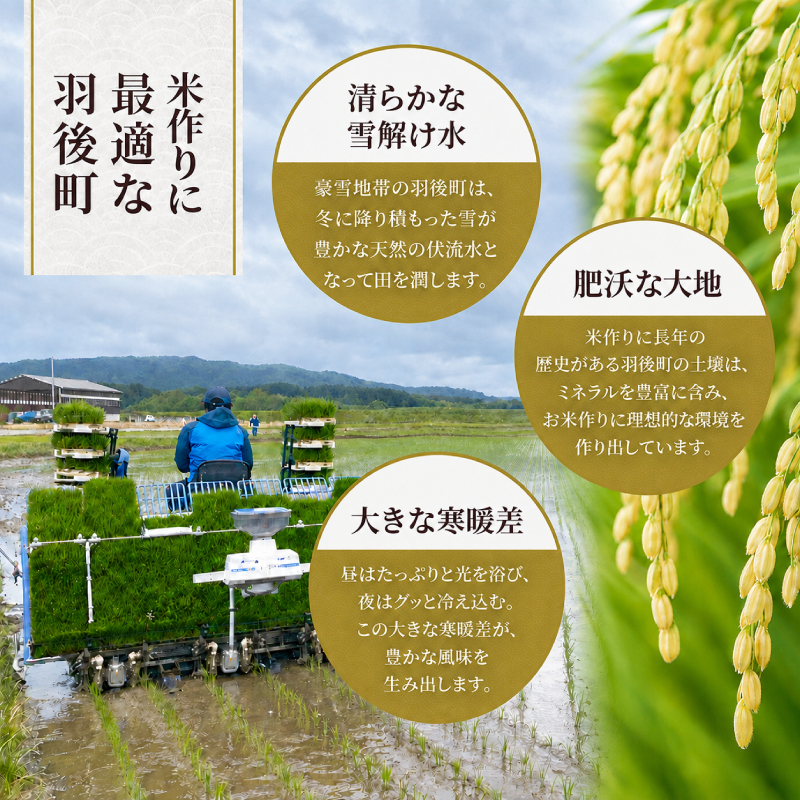 新米 先行予約［令和8年産］定期便 秋田県産 あきたこまち 10kg (5kg×2袋) 全3回 毎月お届け 羽後町産 [藤原商店]【 米 お米 白米 精米 あきたこまち アキタコマチ 定期 定期便 美