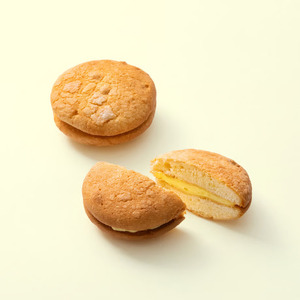 菓子 故郷の思い出 銘菓詰合せ 菓子庵 石川 長野県 伊那市 【021-04】