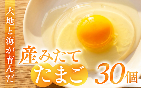 産みたてたまご 30個 ( 割れ保証込み 25個 ＋ 5個 ) 卵 たまご ナガイタマゴ 鶏卵 卵かけごはん 海苔 エサ 赤玉 パック 赤鶏 卵かけご飯 玉子焼き 玉子 国産 新鮮 小分け パック ギフト