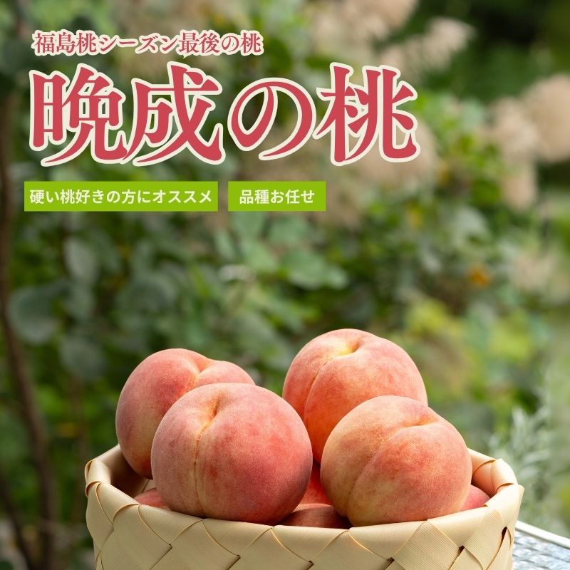 【ふるさと納税】No.2689福島桃シーズン最後の桃　晩成桃　約3kg【2025年発送分】