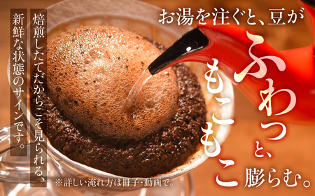 【ふるなび限定価格】コーヒー豆 定期便 7ヶ月 スペシャルティ | 定期便 FN-Limited-PR