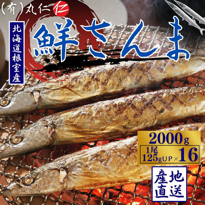 【ふるさと納税】[北海道根室産]鮮さんま16尾入(計2kg) A-50020