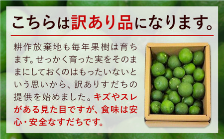 徳島県産 訳ありすだち 約2kg《9月中旬-9月末頃に出荷予定(土日祝除く)》徳島県 佐那河内村 すだち サイズ不揃い B級すだち すだち キズあり すだち 不揃い