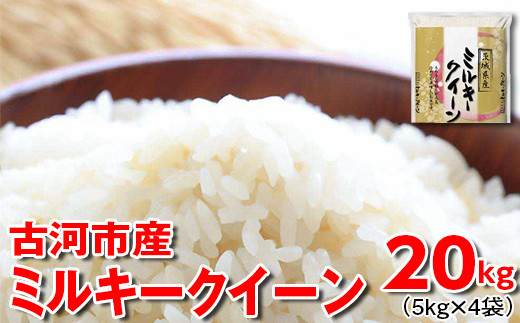 【新米】令和7年産 古河市産 ミルキークイーン 20kg（5kg×4袋） | 米 こめ コメ 20キロ 精米 みるきーくいーん ミルキー 単一米 国産 古河市産 茨城県産 贈答 贈り物 プレゼント 茨城県 古河市 直送 農家直送 産地直送 着日指定可 ギフト お祝 ご褒美 記念日 取り寄せ お取り寄せ 景品 ※2025年9月中旬頃より順次発送予定 _DP25