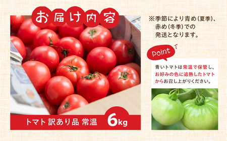 【先行受付】令和7年産 12月～発送 大容量 トマト 6kg 大玉トマト の 小ぶり サイズ おまかせ 不揃い 訳あり 訳アリ とまと 野菜 岐阜県産 本巣市 朝採り 産地直送 新鮮 期間 数量限定 