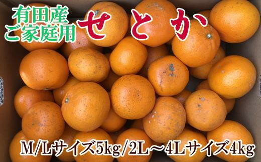 【ふるさと納税】 【訳あり・ご家庭用】一度は食べていただきたい【有田産のせとか】約4kg〜5kg【2027年2月中旬～2027年3月中旬頃より順次発送】