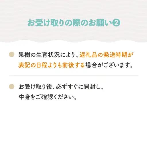 【先行予約】 さくらんぼ やまがた紅王 700gバラ 〇秀2L 令和9年産 ja-ybm2b700