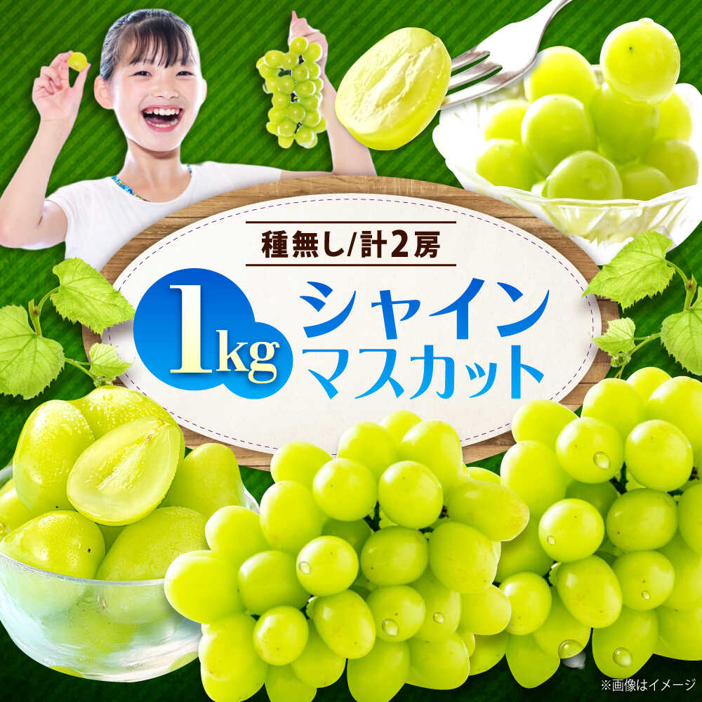 【ふるさと納税】先行予約【2026年9月中旬から10月上旬発送】シャインマスカット 2房入り 計1kg 広島県福山市/株式会社フジ・アグリフーズ ブドウ 葡萄 マスカット ギフト 種なし 大粒[BAGF005]