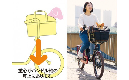 570-001　ペットポーターアシスト（丸石サイクル）グレイッシュミント×ブラック