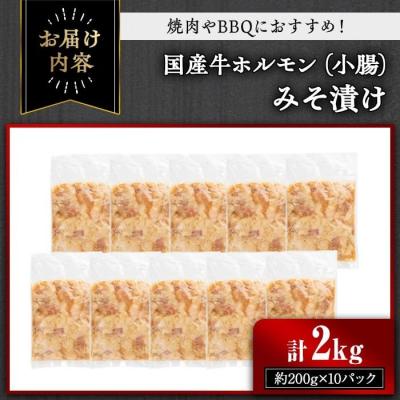 ふるさと納税 曽於市 国産牛ホルモン(小腸)みそ漬け2kg |  | 01