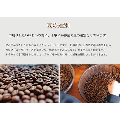 ふるさと納税 明和町 【1ヶ月ごとの定期便】 オトモニコーヒー お勧め 豆をお届け 250g×2袋 OT5 |  | 03