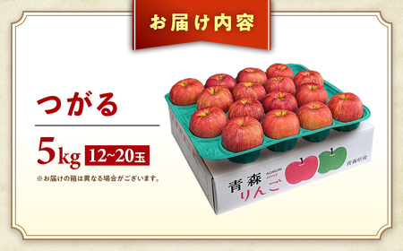 りんご【つがる】約5kg（12～20玉）【2025年産・先行予約】★2025年9月上旬～9月下旬頃まで発送予定★ 青森県三戸町産