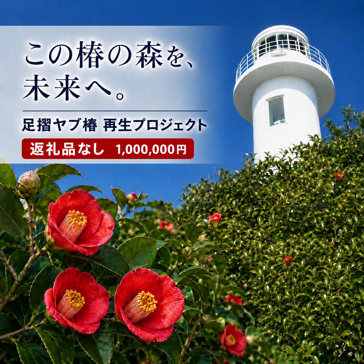 
                  足摺ヤブ椿再生プロジェクト 応援一口 1,000,000円（300,000円分）※返礼品なし※ 自然保護 椿 つばき ツバキ 藪椿 ヤブツバキ クラウドファンディング 募金 環境保護 SDGs 高知県【R01755】
                