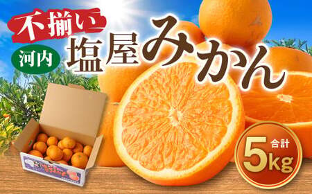 ＜2025年12月発送予定＞【不揃い】選べる 河内 塩屋みかん 5kg 青島みかん 熊本 国産 みかん 蜜柑 ミカン 果物 くだもの フルーツ 