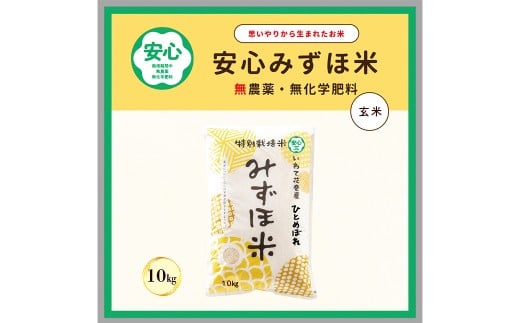 安心みずほ米 ひとめぼれ 玄米 10kg 【1071】