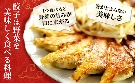 冷凍花餃子110個（22個入×5袋）2か月連続お届け 加工食品 冷凍餃子 ぎょうざ 2カ月 2回 