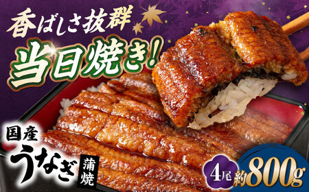 国産活うなぎ4尾（蒲焼）[AQDF009] 鰻 蒲焼き 国産 活うなぎ