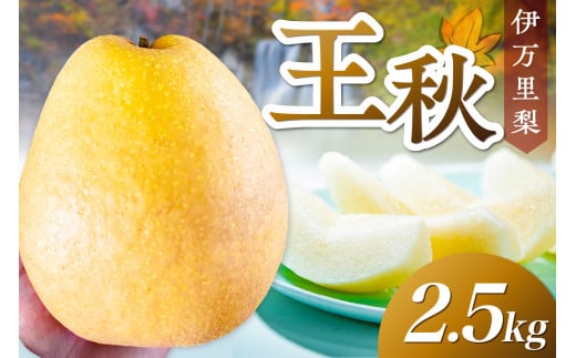 【 数量限定 】 伊万里梨 王秋 2.5kg 令和7年産 113-B852