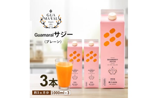  サジージュース 100% 1000ml×3本セット | サジー シーベリー 沙棘 グアマラル 健康ドリンク 健康 美容 栄養 果汁 鉄分補給 栄養補給 健康食品 ギフト 贈答 プレゼント ご褒美 お祝 記念品 _DX07