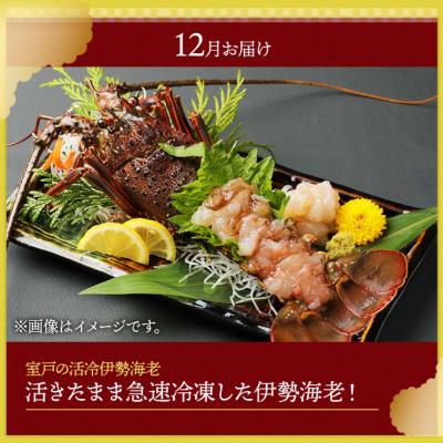 ふるさと納税 室戸市 漁師の食卓定期便おたのしみセットB【6回お届け】 |  | 03