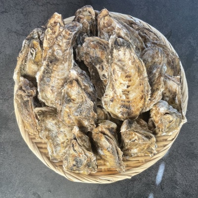 仙鳳趾 牡蠣100～149g×25個+カキナイフ＆昆布＜2024年10月～出荷＞K1-2【配送不可地域：離島・沖縄県・信越、北陸・東海・近畿・中国・四国・九州】