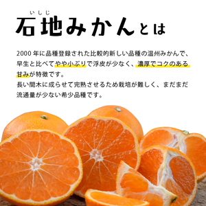 【先行予約】 瀬戸内海の島みかん 家庭用(優品)【石地みかん】約5kg | みかんみかんみかんみかんみかん 【KK3291】