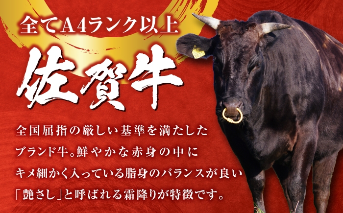 A5ランク 赤身ステーキ 黒毛和牛 ステーキ肉 佐賀牛 贈答用  ローストビーフ