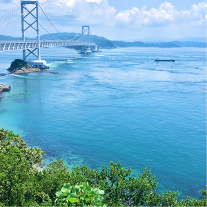 定期【1か月1回配送 計12回】【くせ毛用】しっとり髪の乳液 リペアエマルジョン【092020-3】