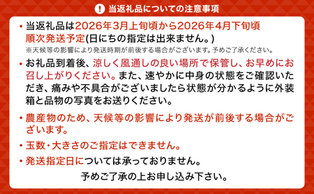 【先行受付】ブラッドオレンジ 約3kg（15玉～25玉）【吉田レモニー】【2025年3月上旬～2025年4月下旬発送】柑橘 フルーツ 果物