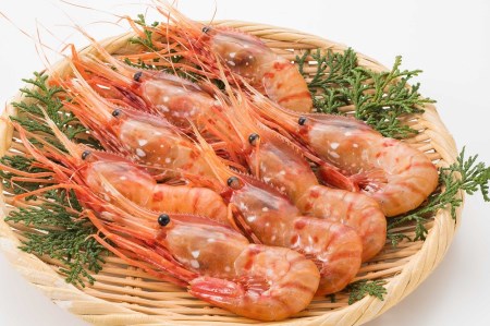 【急速冷凍】北海道苫前産ボタンエビ　500g×2《数量限定》（えび・海老・シマ・甘・イバラ・正月・海鮮・魚介類・北海道・刺身・生・ボイル・小分け・３D冷凍）