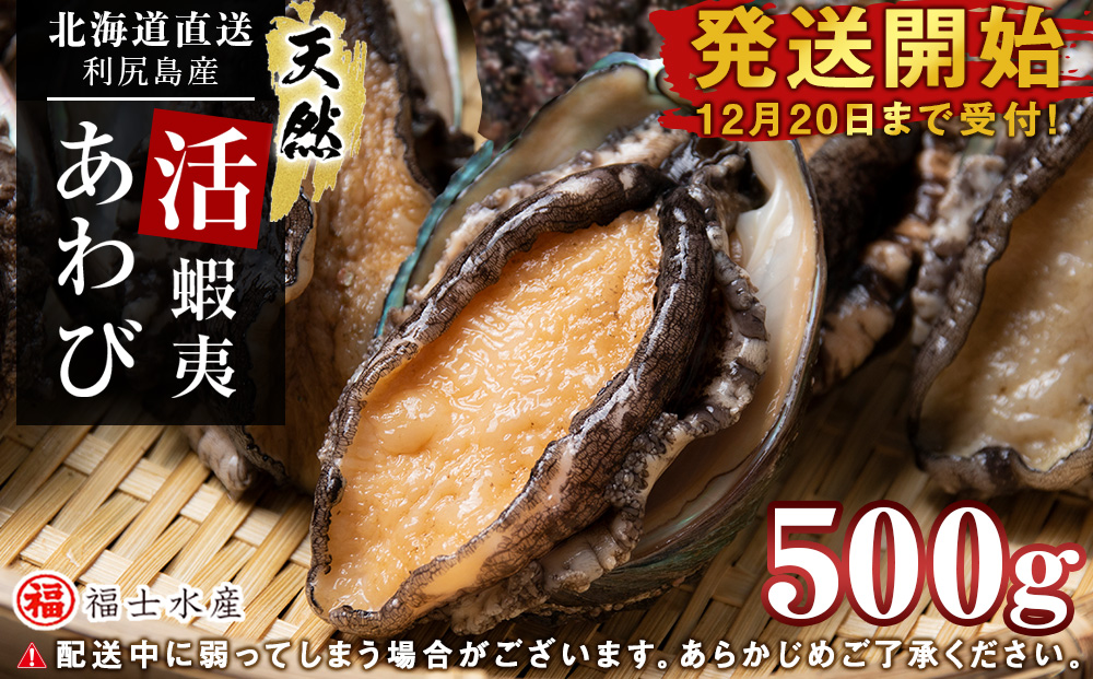 【発送開始】北海道 利尻島産 直送！天然 活えぞあわび 500g 鮑 海鮮 冷蔵 お刺身 魚介 お祝い 鮑 活き 天然【福士水産】