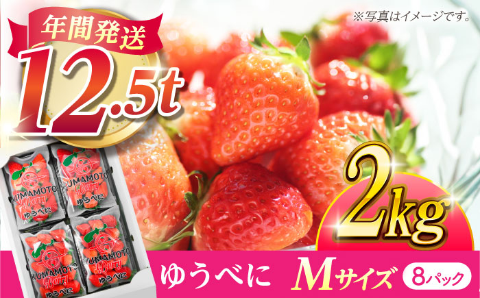 【先行予約】いちご Mサイズ ゆうべに 2kg（8pc）【熊本ベリー】いちご イチゴ 苺 ゆうべに 大粒いちご  [ZER008]