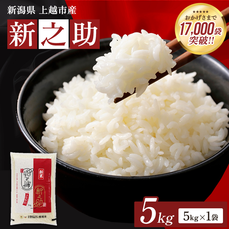 【最短3日発送】令和8年（新米） 新潟県上越市産 新之助 5kg 無洗米 しんのすけ お米 精米 米 ご飯 五つ星お米マイスター 大黒屋商店