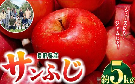 【11月下旬発送】サンふじ 5kg(12～25玉)｜ふるさと納税 松本市 サンふじ りんご 林檎 果物 フルーツ 信州 美味しい