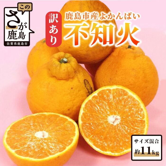 【ふるさと納税】【訳あり】【お届け期日指定不可】よかんばい 鹿島産 不知火 みかん サイズ混合 約11kg イタミ保証含 | ふるさと納税 みかん 蜜柑 柑橘 果物 フルーツ 果実 国産 佐賀県 鹿島市 ふるさと 人気 送料無料 B-292