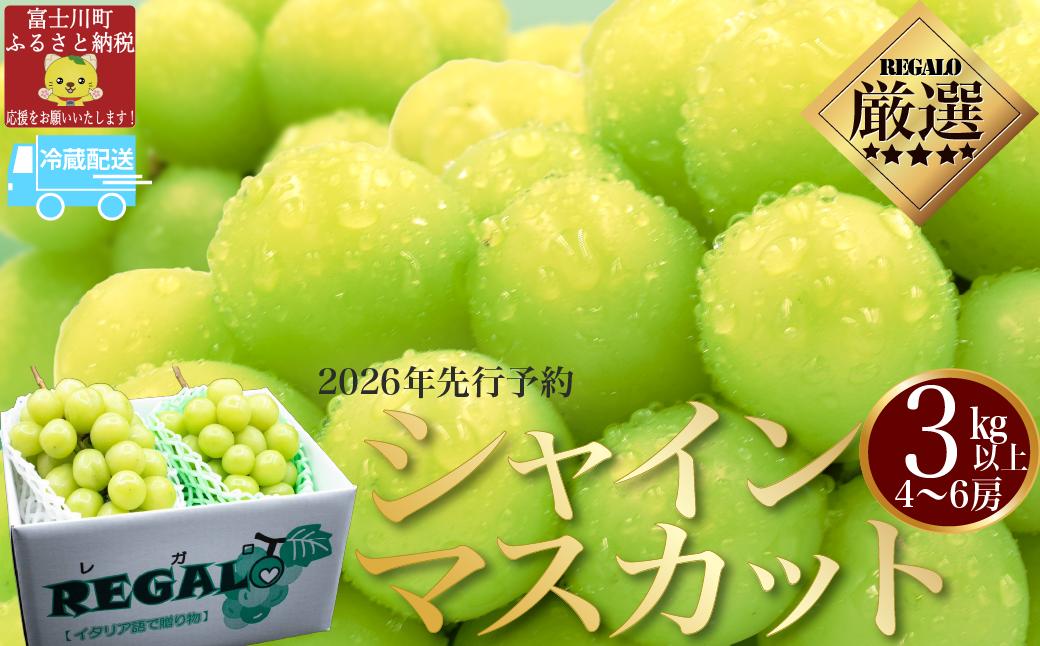 
            【2026年発送分 先行予約】頬張る幸福感　～緑の宝石・シャインマスカット～　３ｋｇ以上（４～６房）※冷蔵発送※ フルーツ 山梨県産 果物 シャイン マスカット ぶどう ブドウ 大粒 種なし 種無し 先行予約 富士川町
          