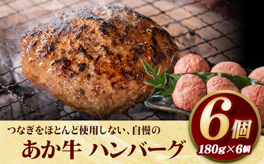 あか牛 ハンバーグ6個（180g×6個） 有限会社幸路《60日以内に出荷予定(土日祝除く)》 あかうし 赤牛 冷凍